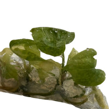 Load image into Gallery viewer, Anthurium Pterodactyl hybrid x Luxurians aurea variegated tissue culture plant with golden-yellow marbled leaves.