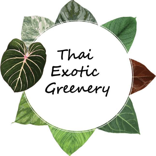 Who We Are - Thai Exotic Greenery